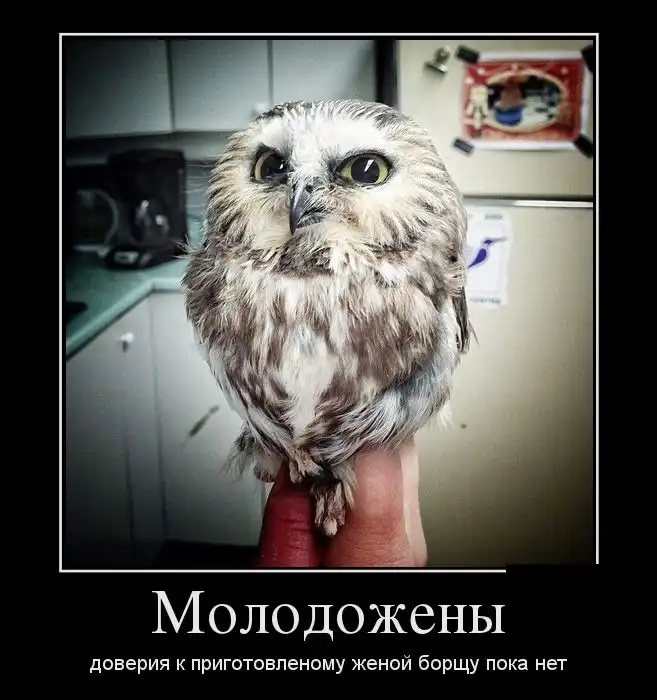 Картинки в черной рамке (10.02.14)