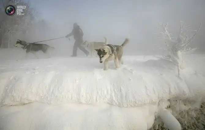 Неделя в фотографиях