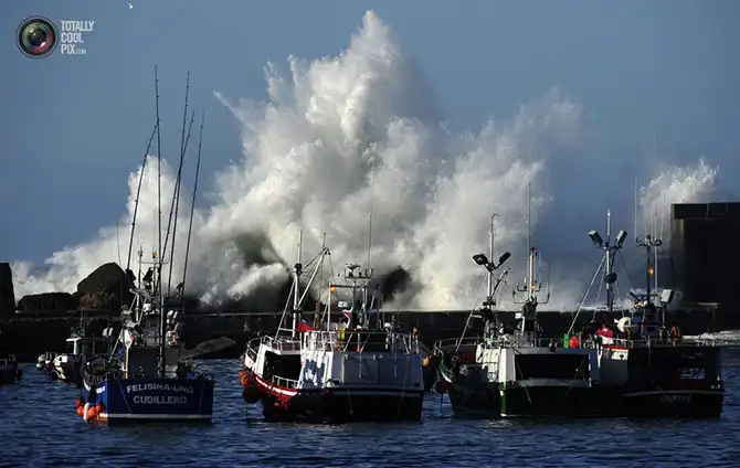 Неделя в фотографиях