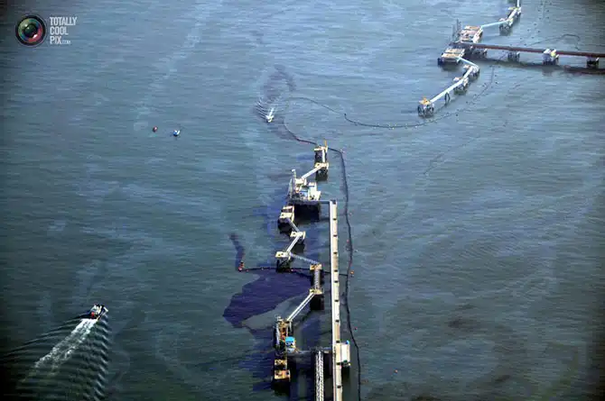 Неделя в фотографиях