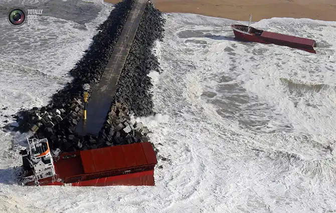 Неделя в фотографиях