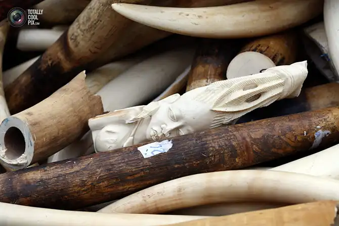 Неделя в фотографиях