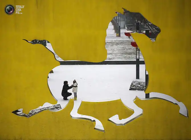 Неделя в фотографиях