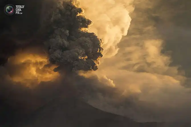 Неделя в фотографиях