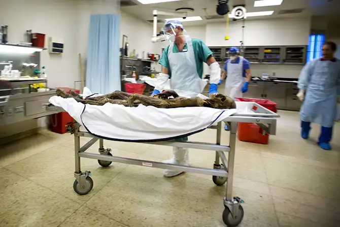 Перешли все границы