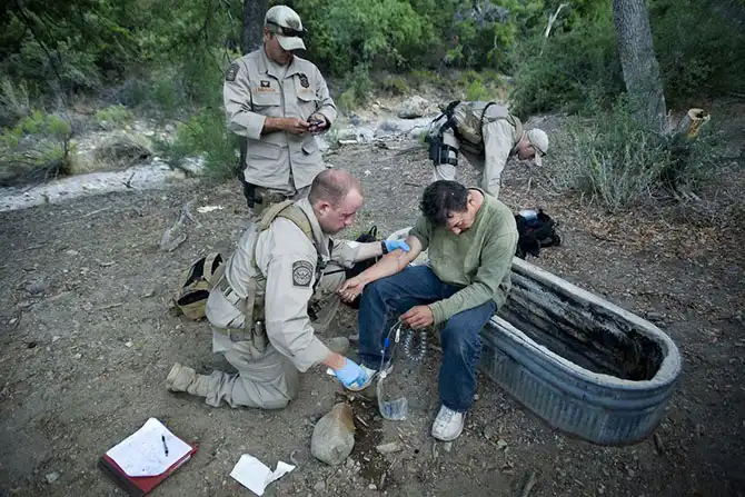 Перешли все границы