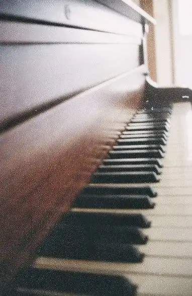 Соляночка =З