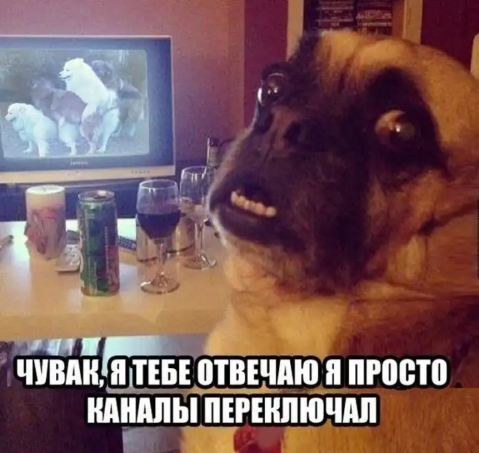 Прикольные картинки абавсём:D (18.02.14)