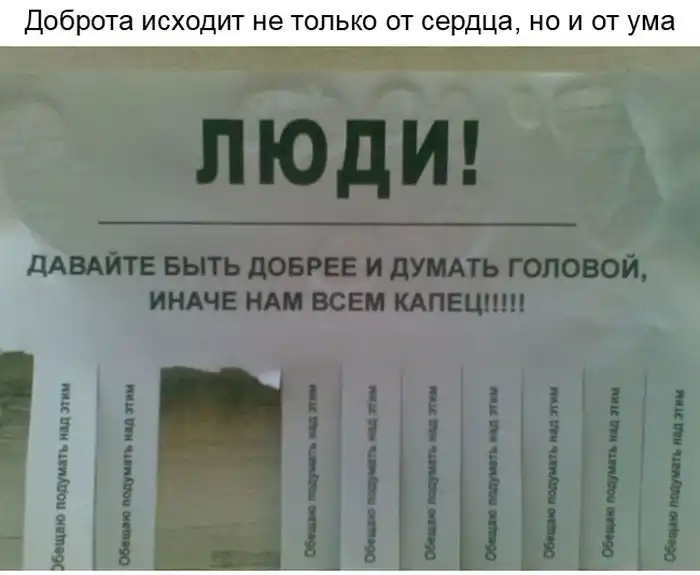 15 объявлений, которые несут добро в этот мир