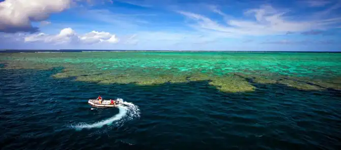 Подводная экскурсия по Австралийскому Большому Барьерному рифу