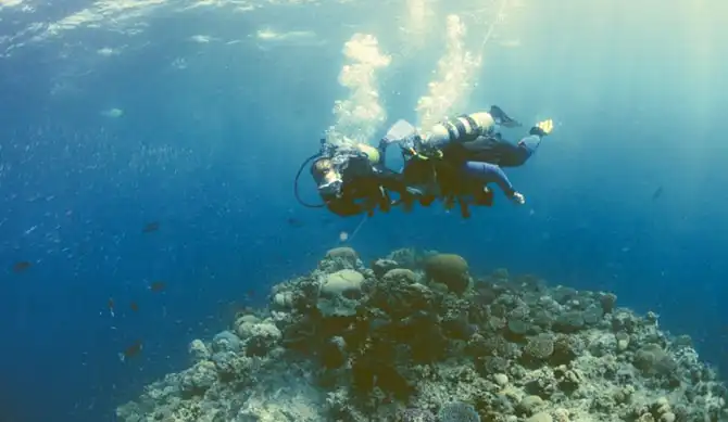 Подводная экскурсия по Австралийскому Большому Барьерному рифу