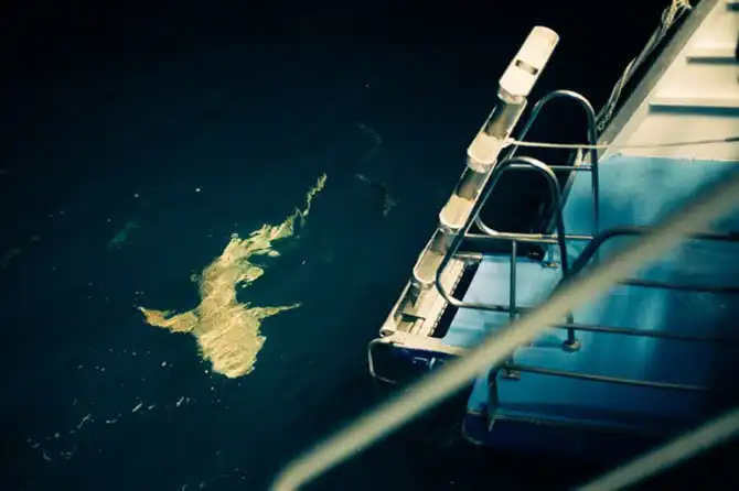 Подводная экскурсия по Австралийскому Большому Барьерному рифу