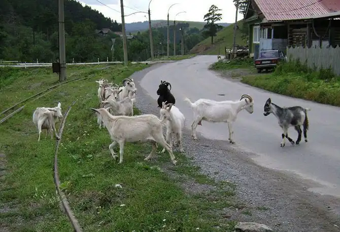 Как испытывают трамваи