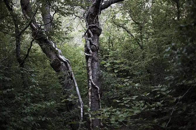 Не такие как все