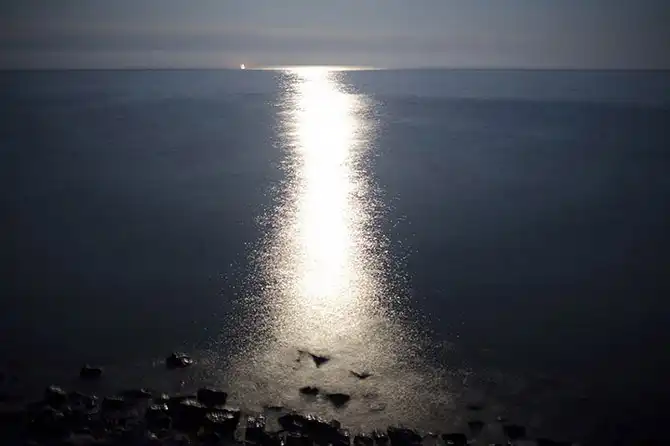 Не такие как все