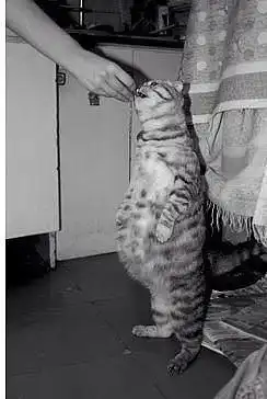 Разнообразная подборка =) Всем улыбок!