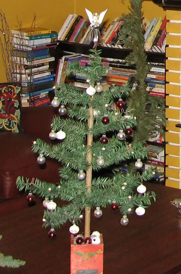 Невероятно, но факт