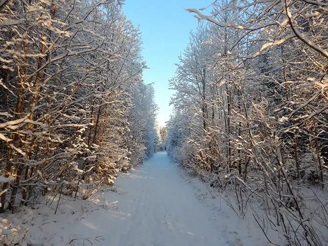 Прогулка по заброшенному детскому лагерю