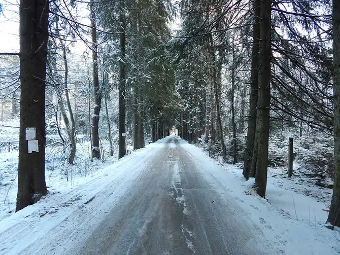 Прогулка по заброшенному детскому лагерю