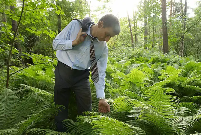 10 правил успешных людей