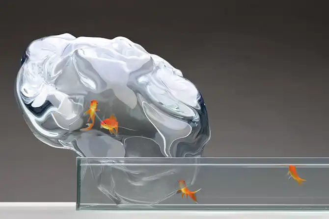 Лучший дизайн января 2014