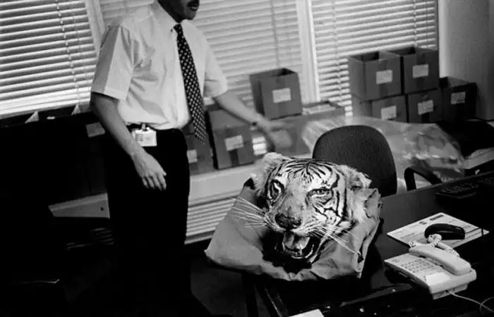 Контрабанда дикой природы