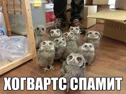 Разнообразная подборка =) Всем доброго времени суток!