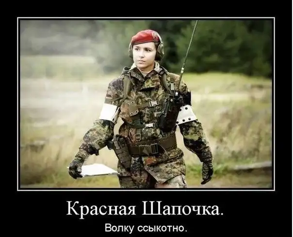 Разнообразная подборка =) Всем бобра!