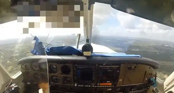 Столкновение самолета с гусем