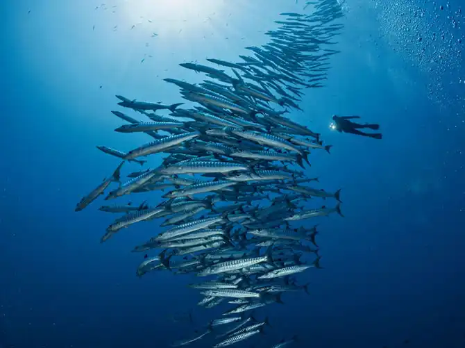 Лучшие фото National Geographic за февраль 2014