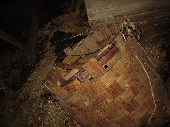 Как выглядят дома Русского Севера