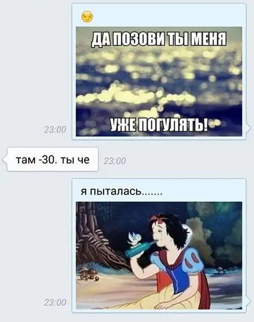 Смешные комментарии из социальных сетей