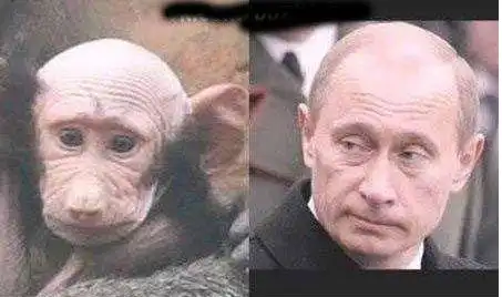 Звезды похожие друг на друга