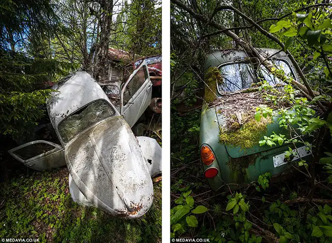 Кладбище автомобилей в Швеции