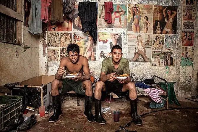 Финалисты фотоконкурса Sony World Photography Awards 2014