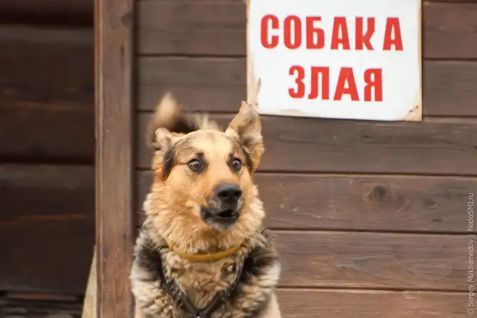 Как выглядит одно из самых странных подмосковных сооружений