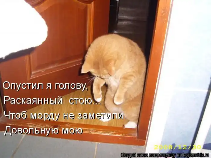 Лучшие котоматрицы недели