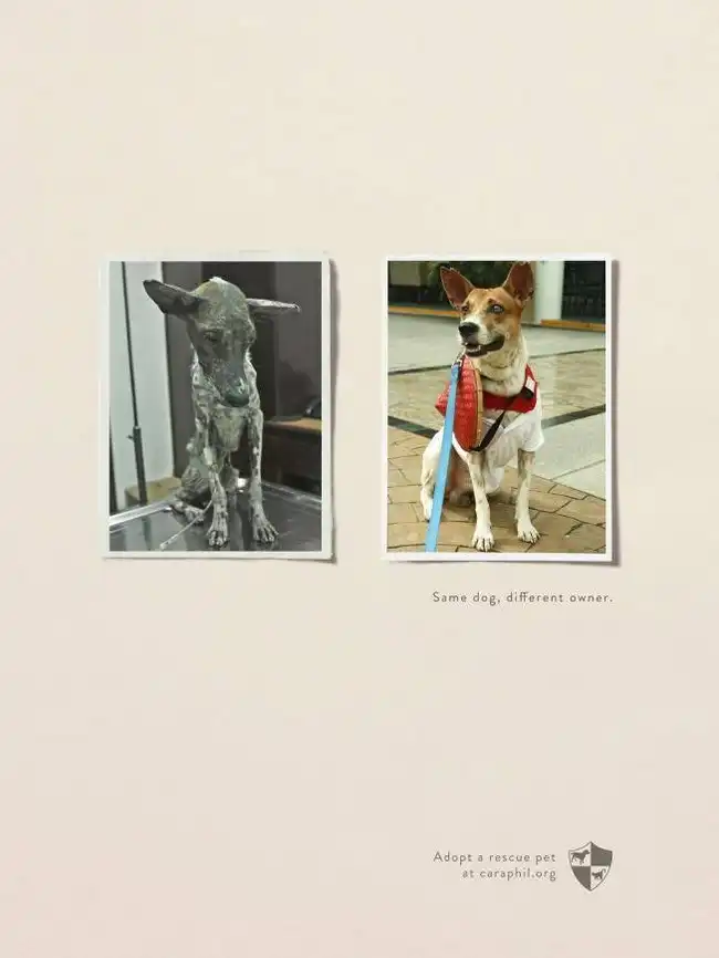 Лучшая печатная реклама января 2014