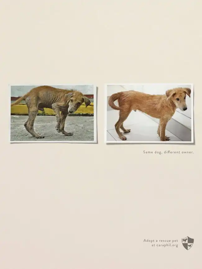 Лучшая печатная реклама января 2014