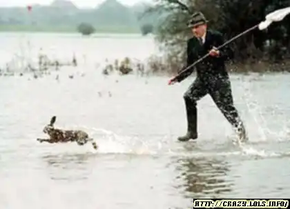 Стоять, кричал Дед Мазай зайцу.......