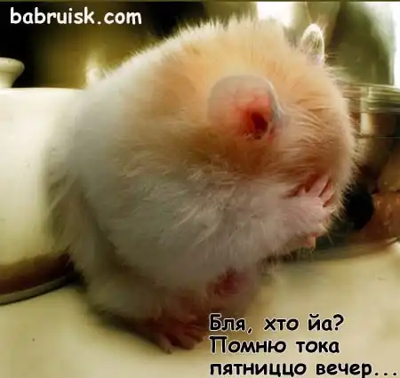 Неапознаннае жЫвотнае.