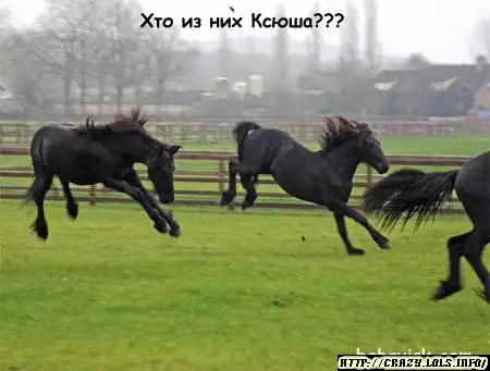 Ксения Собчак! Эротическое фото!