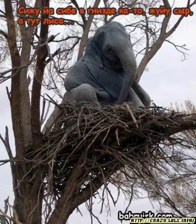 Крылоф. новая басня