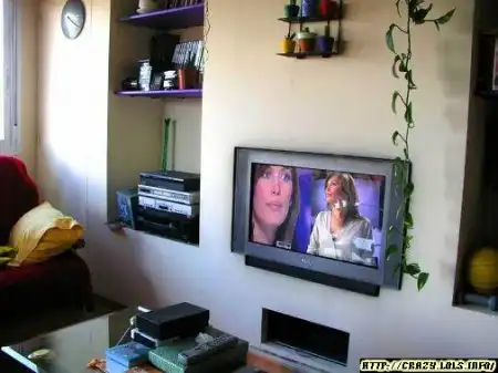 Как сделать плазменную панель у себя дома...