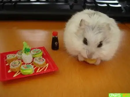 Плотный завтрак