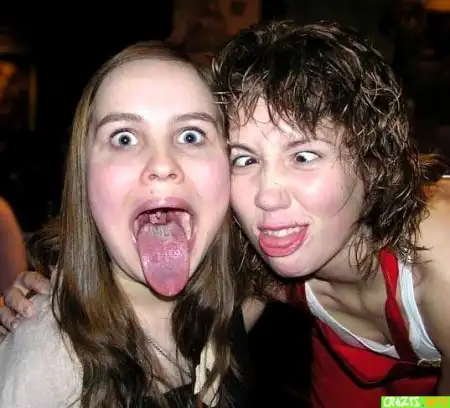 Бешеные собаки