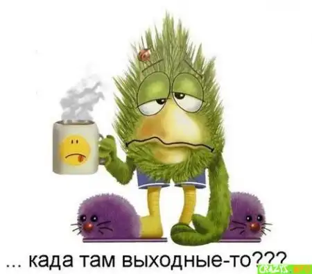 Цыпленак прибалел. Грипп??