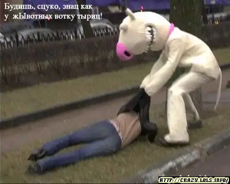 жывотнайе в абиде