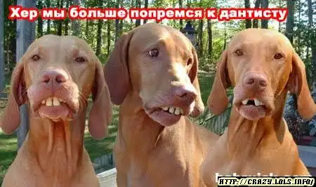 Бобруйская семейка