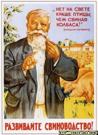 Лучшая рыба это колбаса